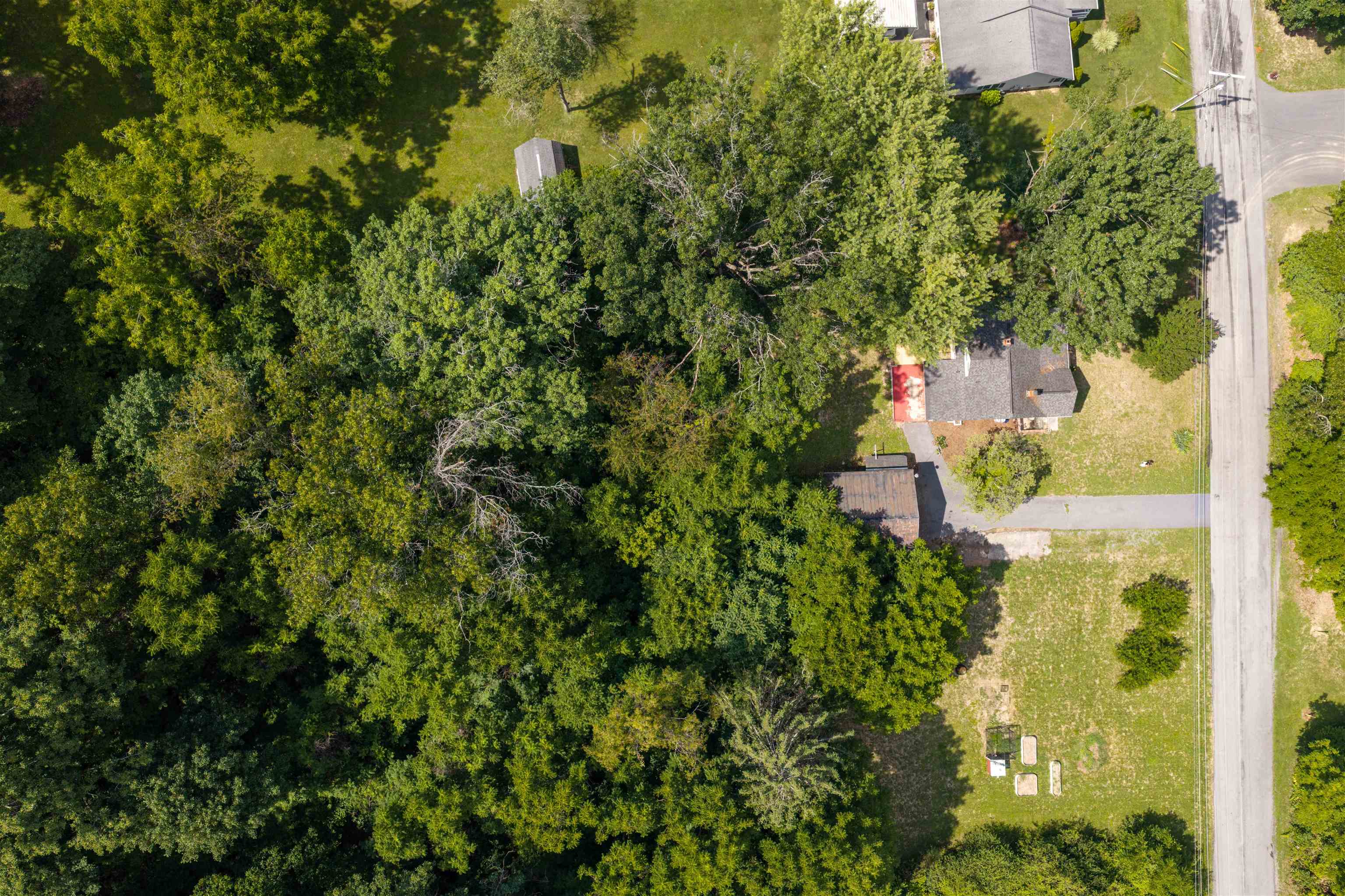 131 Old Hermitage Road Waynesboro, VA 22980 - Photo 35 of 36