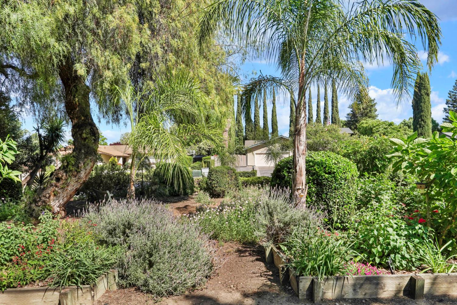 925 Constitution Way Tracy, CA 95376 - Photo 8 of 53