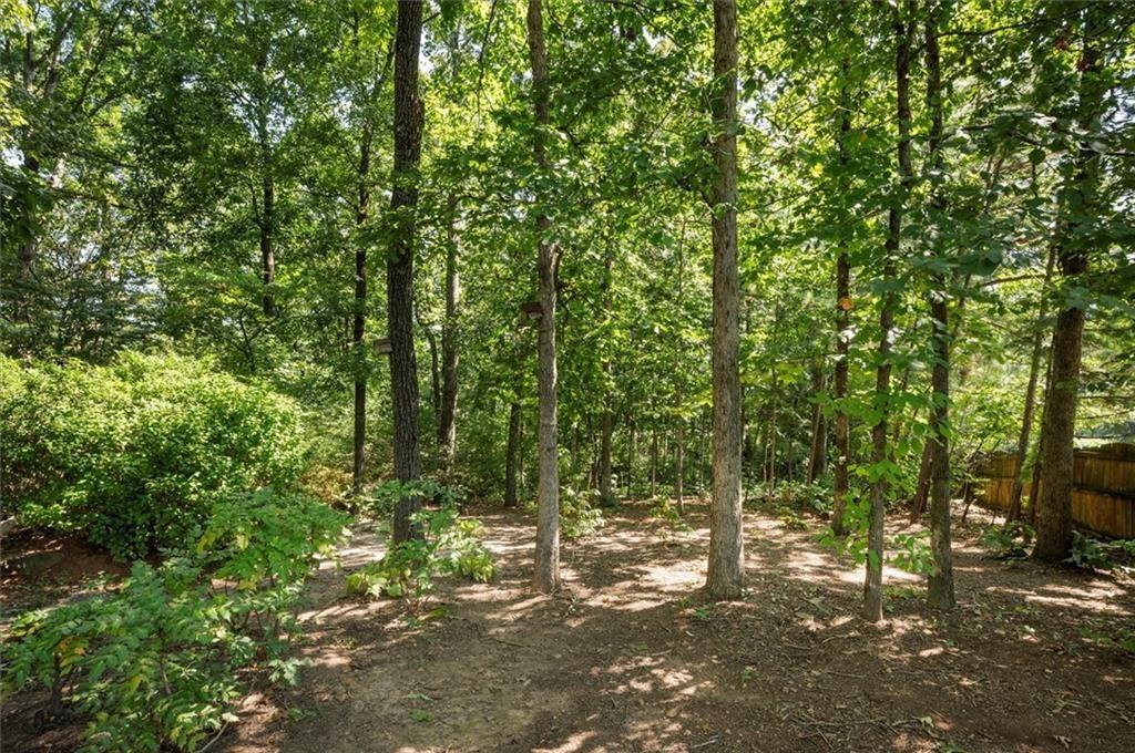 130 Belvedere Court Atlanta, GA 30350 - Photo 53 of 59 a backyard of a house with lots of green space