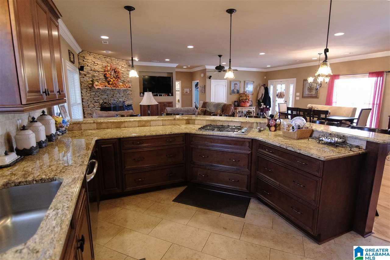 175 County Road 789 Clanton, AL 35045 - Photo 16 of 24