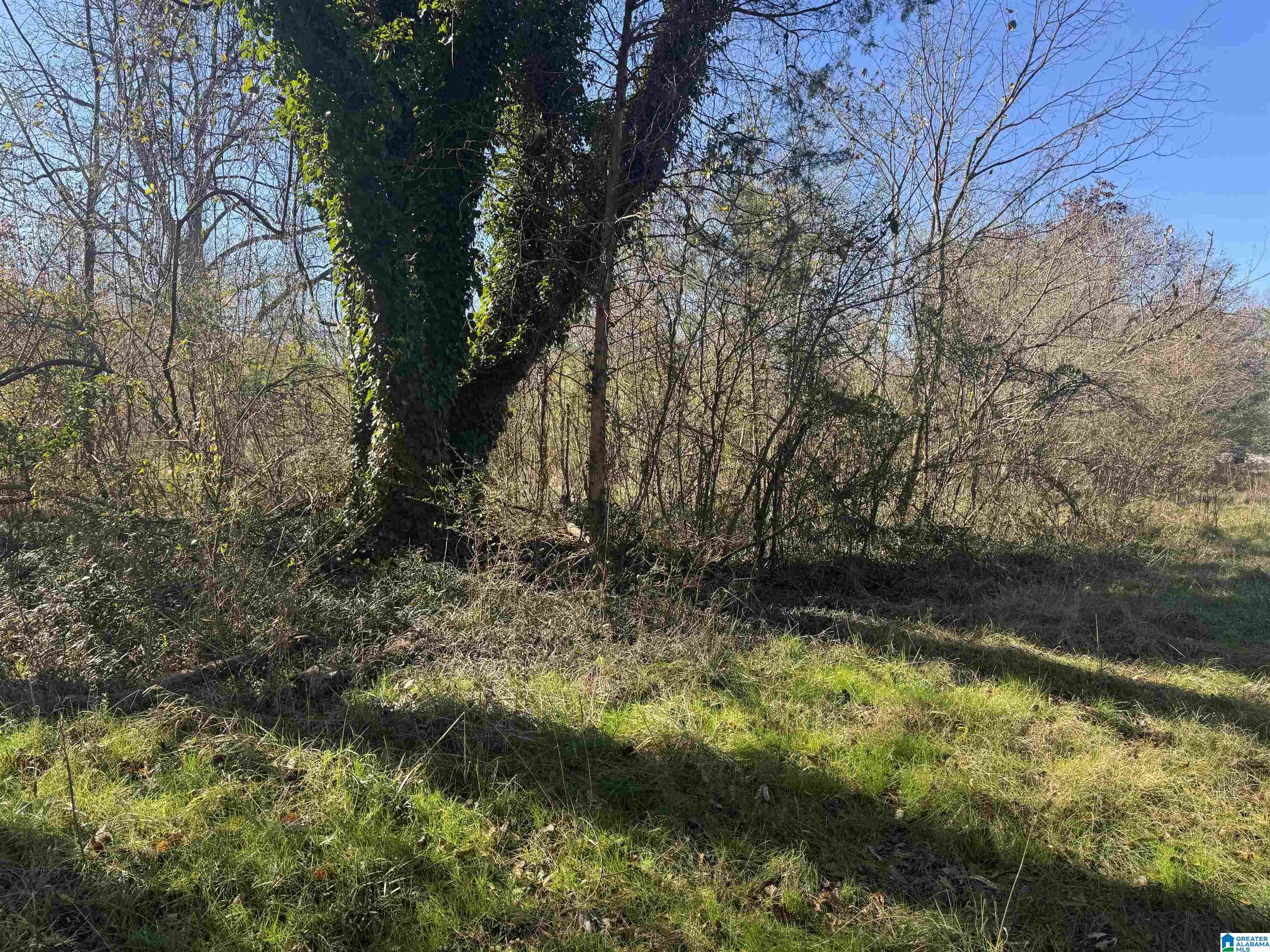0 Glade Road, Unit 1 Anniston, AL 36206 - Photo 6 of 30