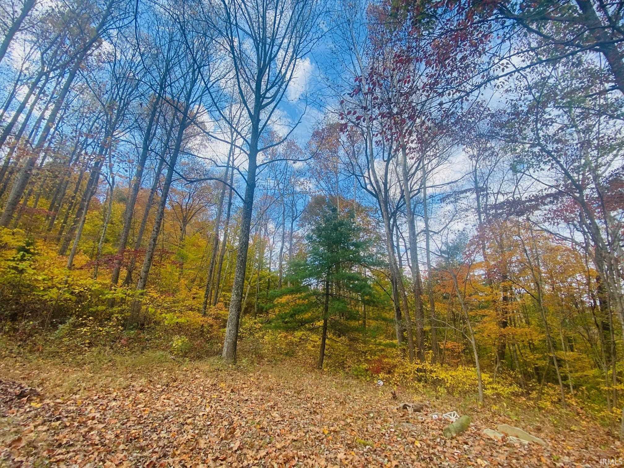 7929 Lily Road Tell City, IN 47586 - Photo 25 of 32