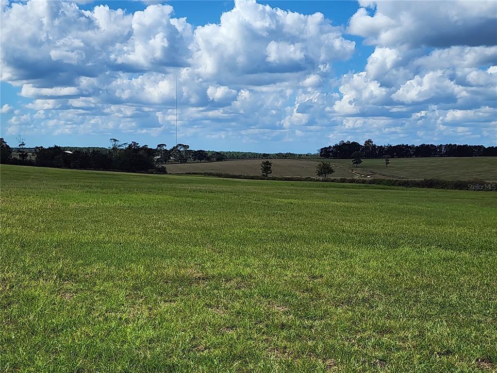 Tbd Southeast 150th Avenue Morriston, FL 32668 - Photo 1 of 10 a view of a field with an outdoor space