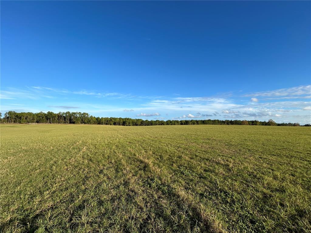 Tbd Southeast 150th Avenue Morriston, FL 32668 - Photo 4 of 10 a view of an ocean from a city