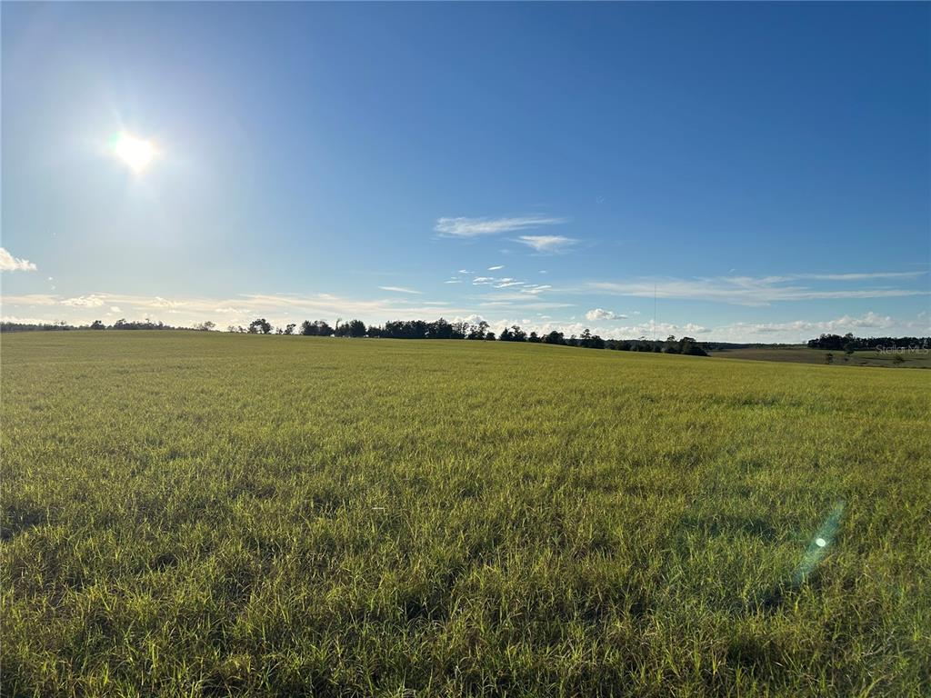 Tbd Southeast 150th Avenue Morriston, FL 32668 - Photo 5 of 10 a view of an ocean