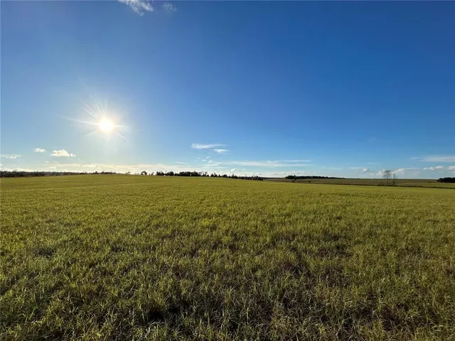 $325,000 | Tbd Southeast 150th Avenue, Morriston, FL 32668