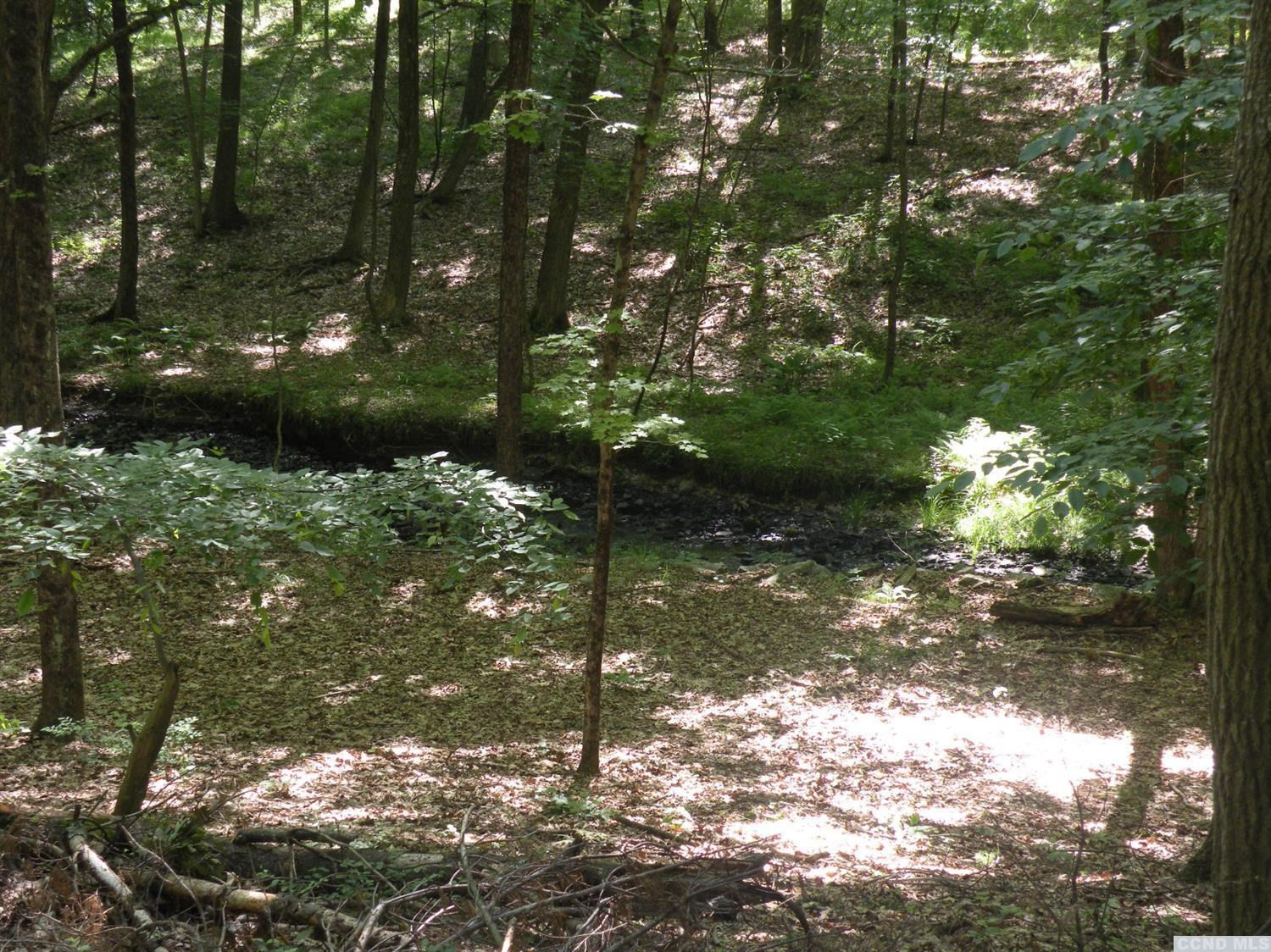 0 Camp Road Red Hook, NY 12571 - Photo 1 of 14 Photo 1