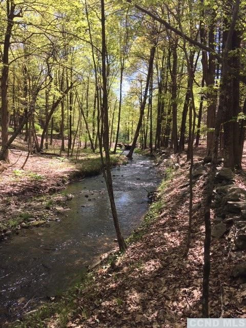 0 Camp Road Red Hook, NY 12571 - Photo 12 of 14 Photo 12