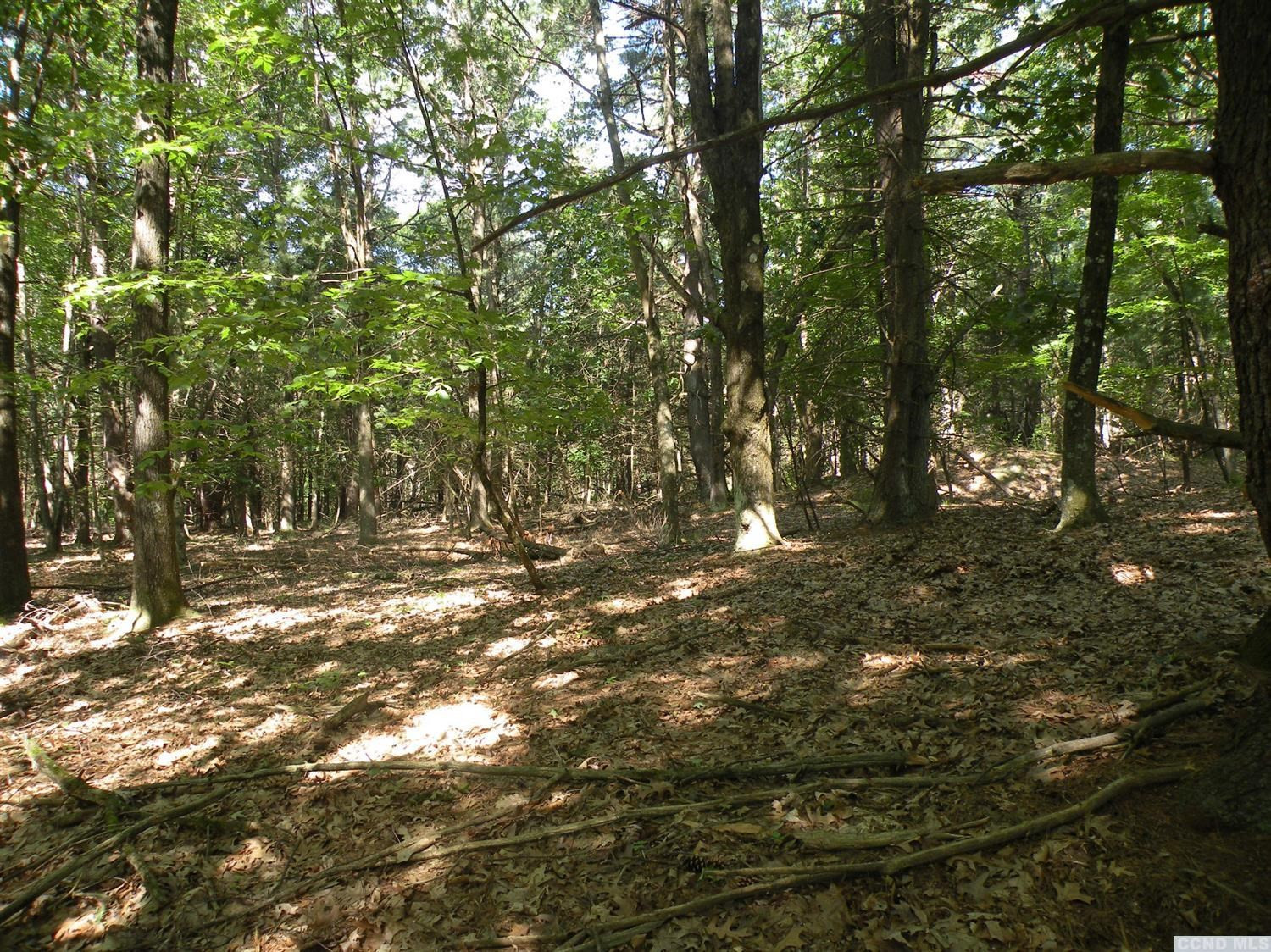 0 Camp Road Red Hook, NY 12571 - Photo 4 of 14 Photo 4