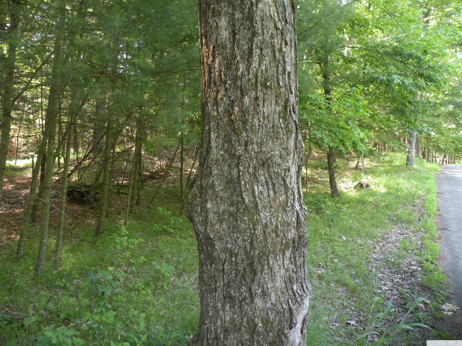 0 Camp Road Red Hook, NY 12571 - Photo 7 of 14 Photo 7