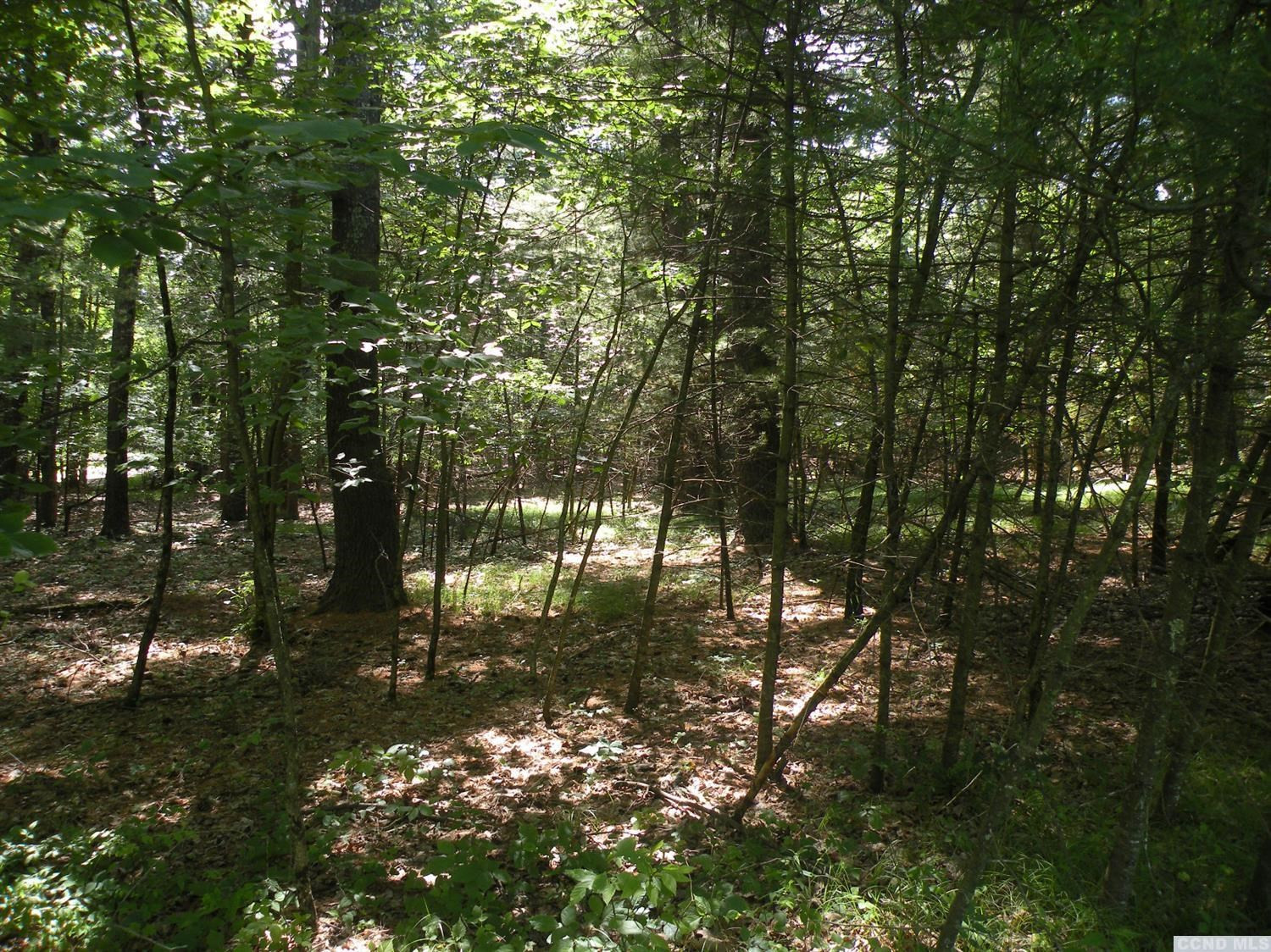 0 Camp Road Red Hook, NY 12571 - Photo 8 of 14 Photo 8