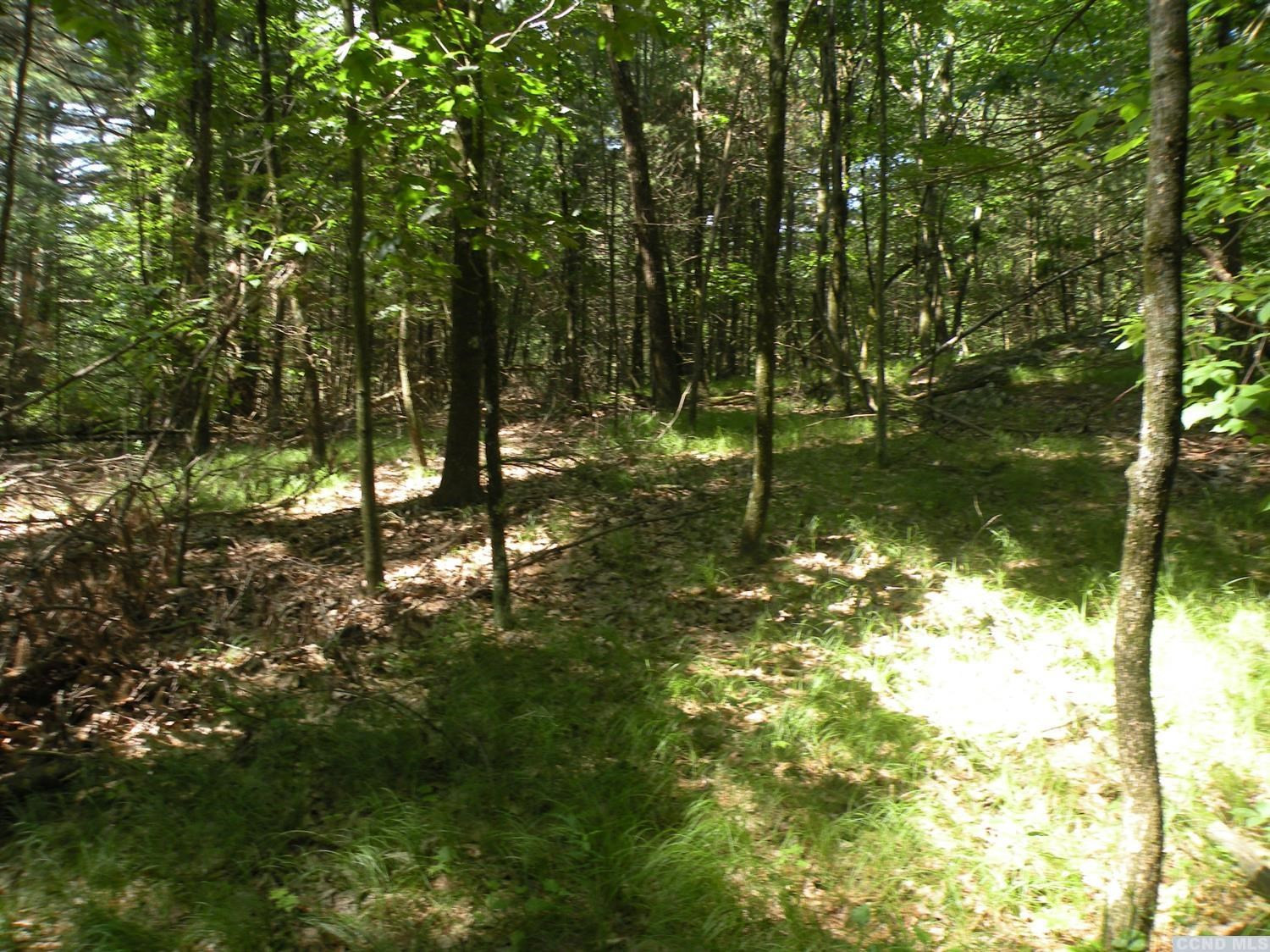 0 Camp Road Red Hook, NY 12571 - Photo 9 of 14 Photo 9