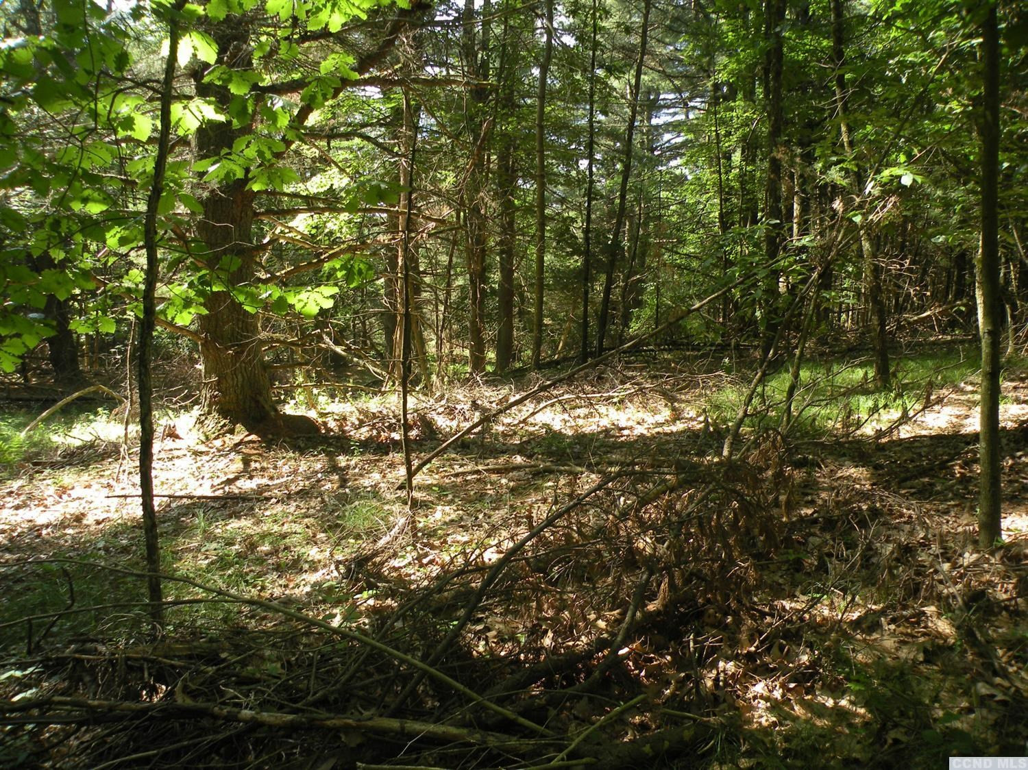 0 Camp Road Red Hook, NY 12571 - Photo 10 of 14 Photo 10