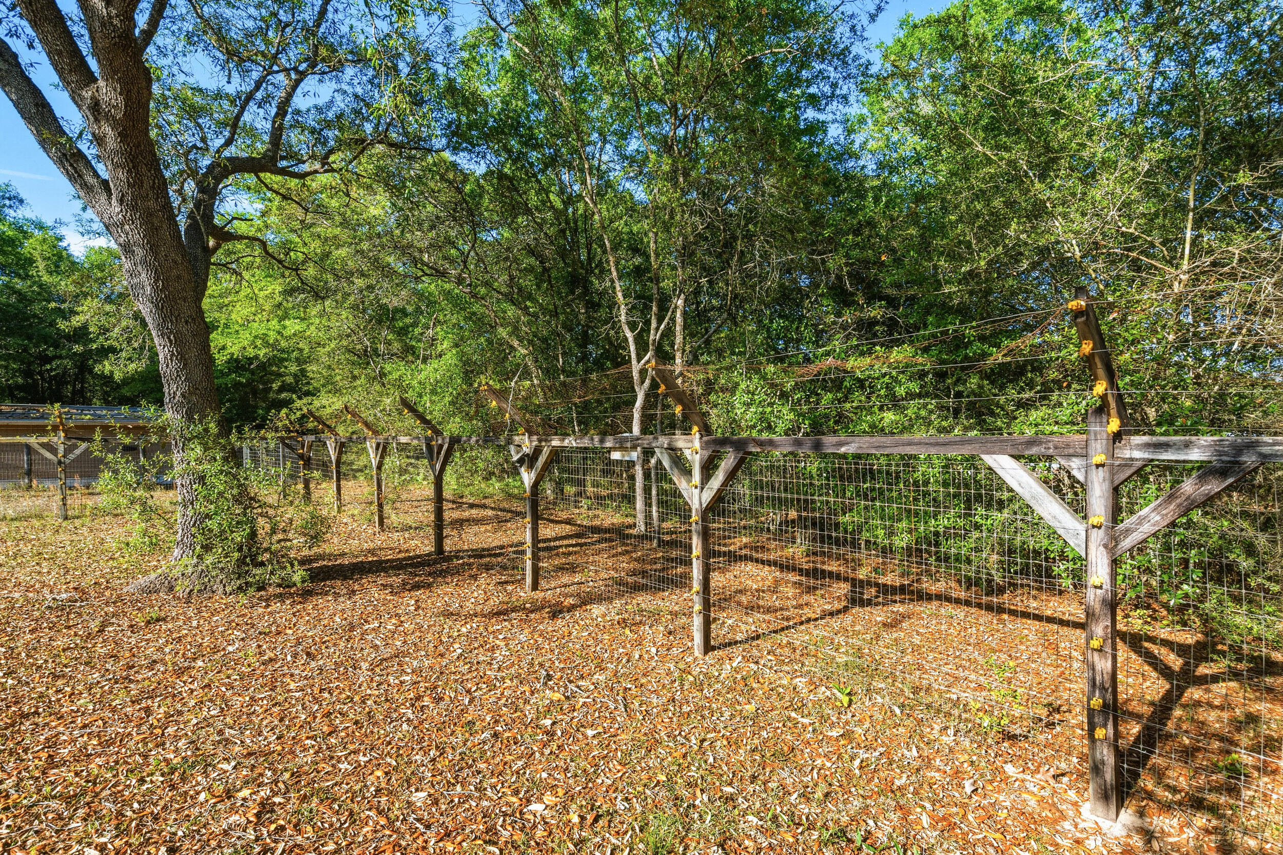 4249 Barlow Road Crestview, FL 32536 - Photo 34 of 40 Outside