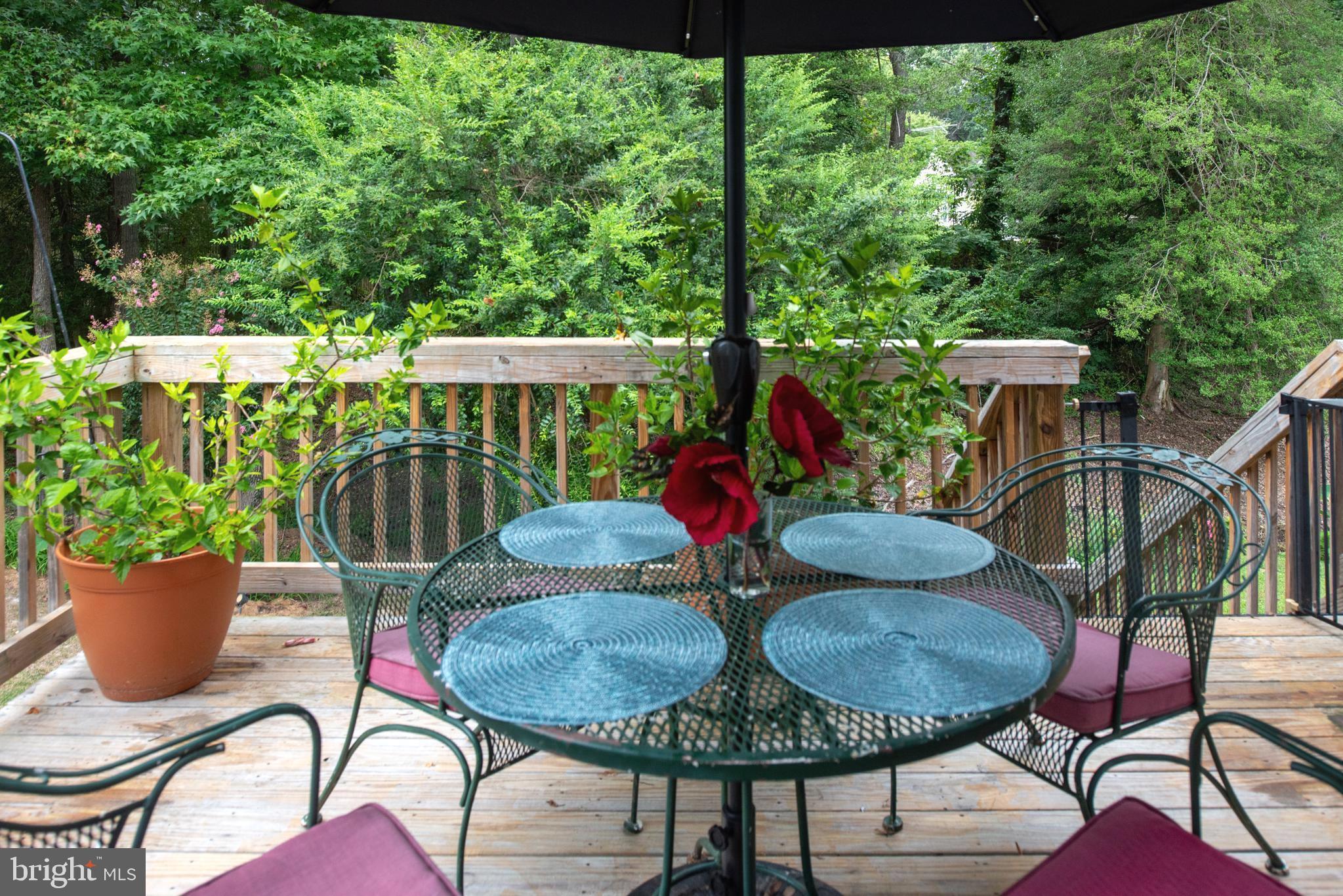 137 12th Street Colonial Beach, VA 22443 - Photo 12 of 66 Property backs to wooded view