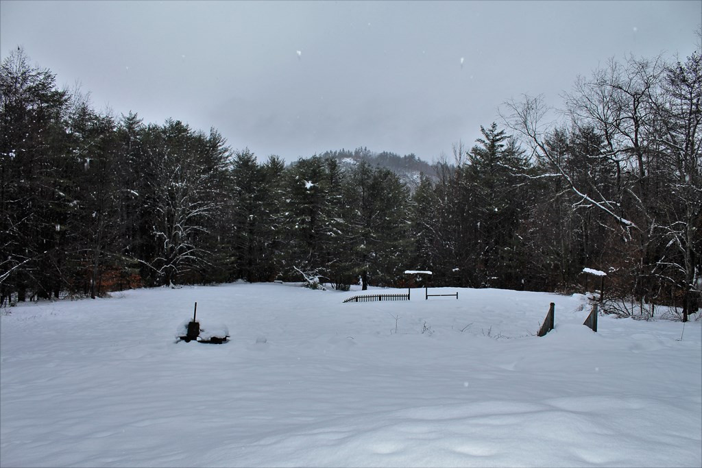 664 River Road Riparius, NY 12862 - Photo 5 of 18 Gallery Image 5