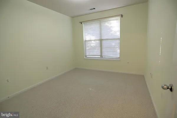 a view of a park with a tree