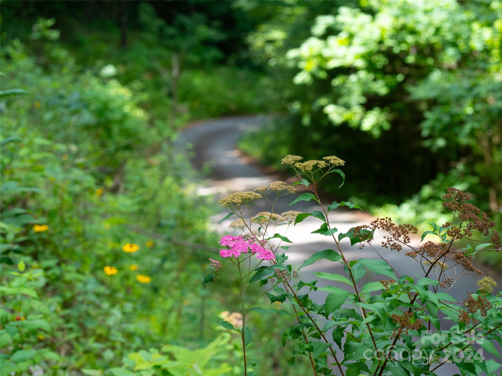 99999 Solitude Ridge Swannanoa, NC 28778 - Photo 13 of 19 Gallery Image 13