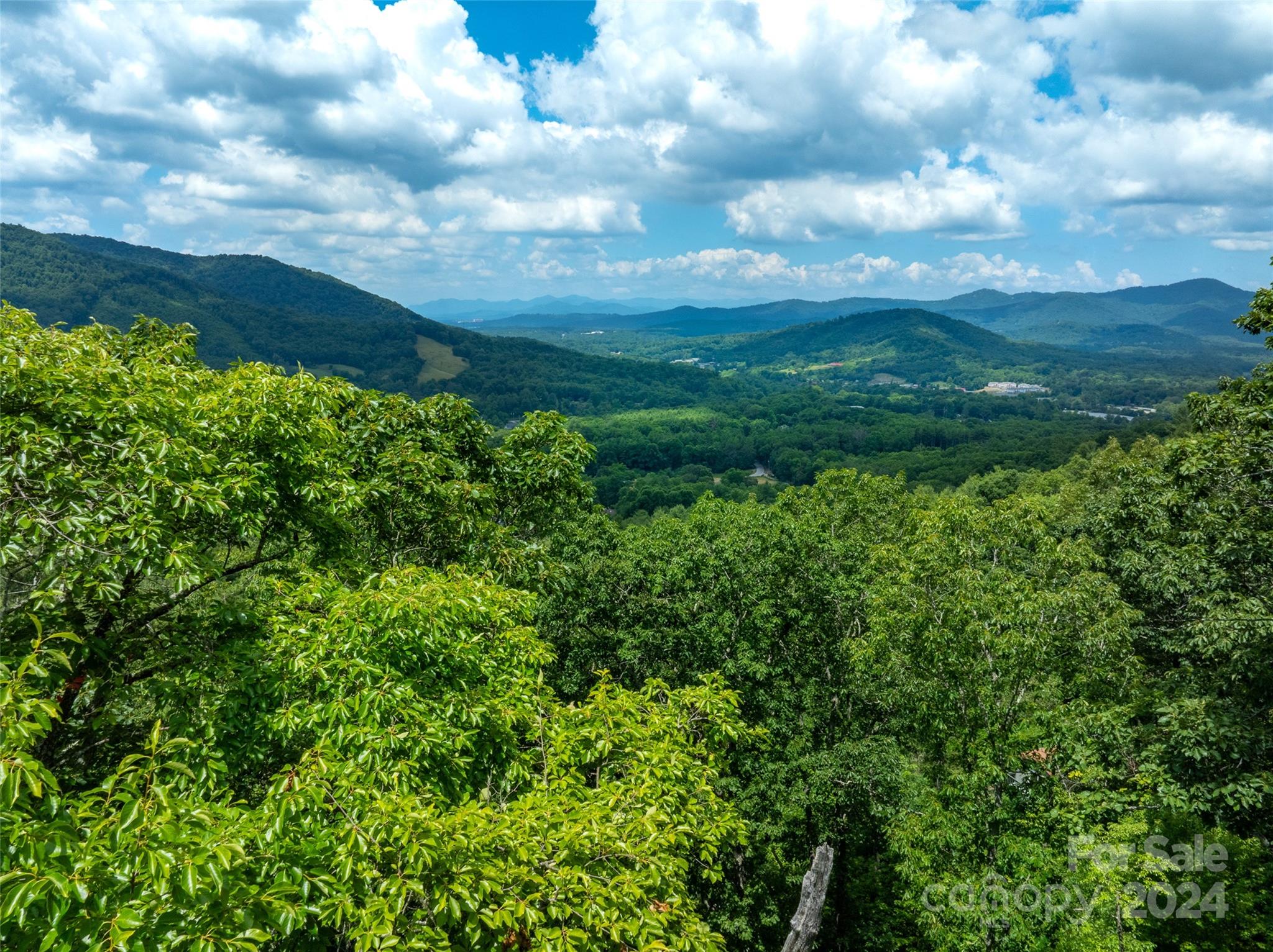 99999 Solitude Ridge Swannanoa, NC 28778 - Photo 15 of 19 Gallery Image 15