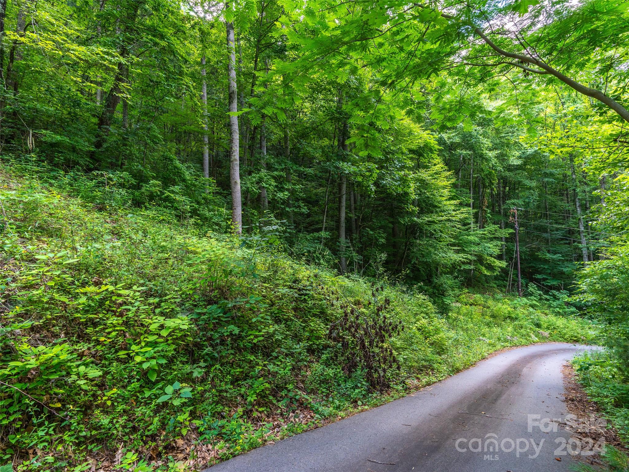 99999 Solitude Ridge Swannanoa, NC 28778 - Photo 8 of 19 Gallery Image 8