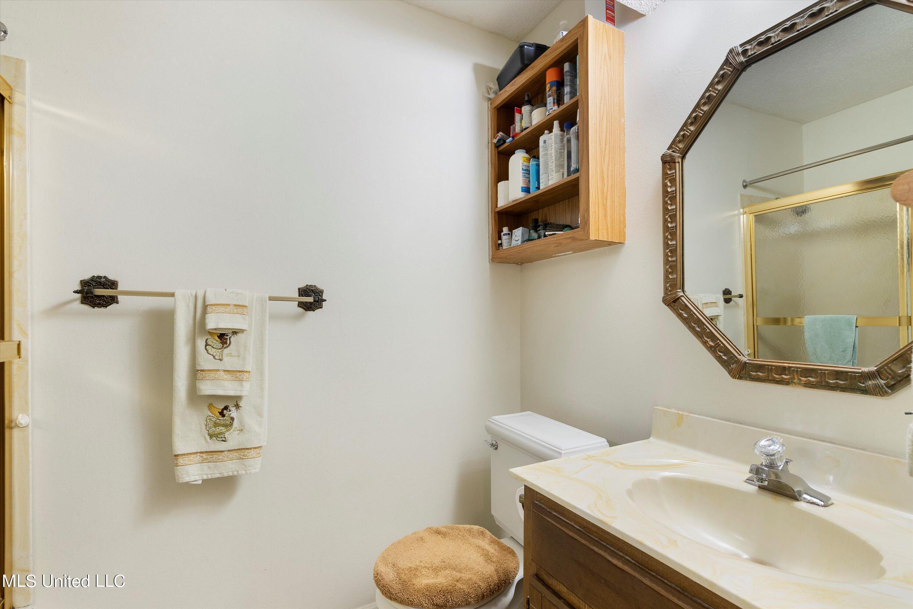 7100 Blue Grass Road Olive Branch, MS 38654 - Photo 13 of 23 13-Bathroom