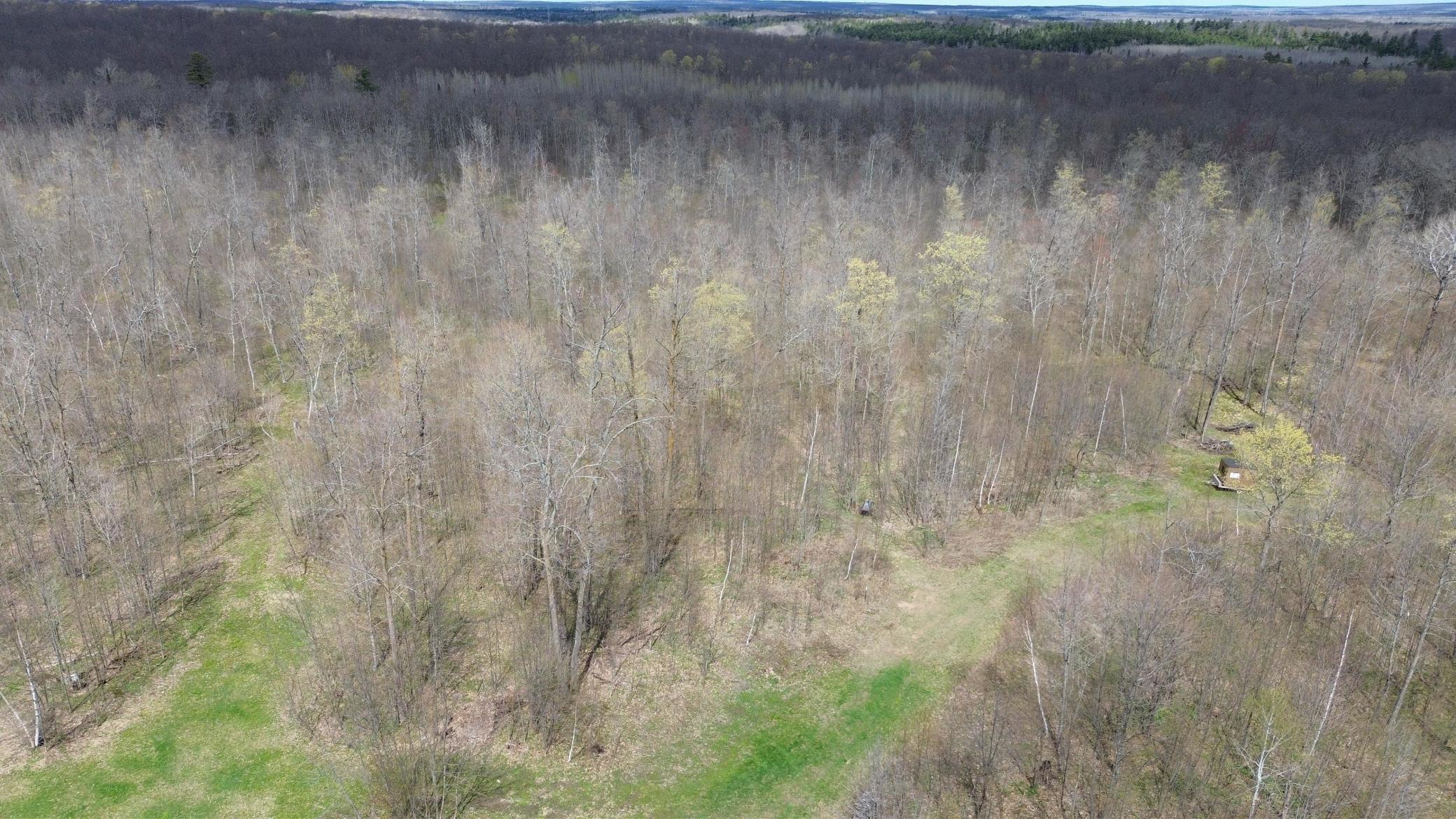 0 West Eckel Lane Exeland, WI 54835 - Photo 2 of 40