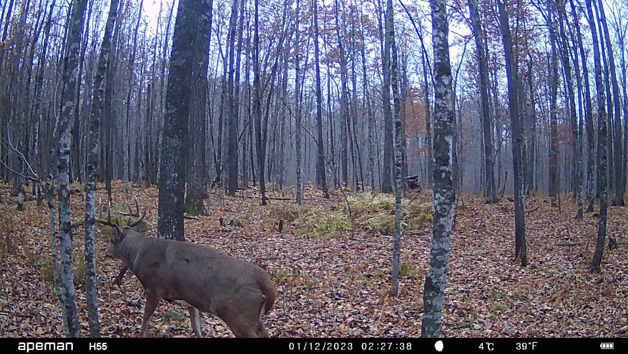 0 West Eckel Lane Exeland, WI 54835 - Photo 24 of 40
