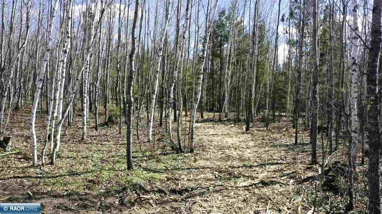 Tbd Parcel F Tbd Parcel F Frazer Bay Road Cook, MN 55723 - Photo 2 of 15