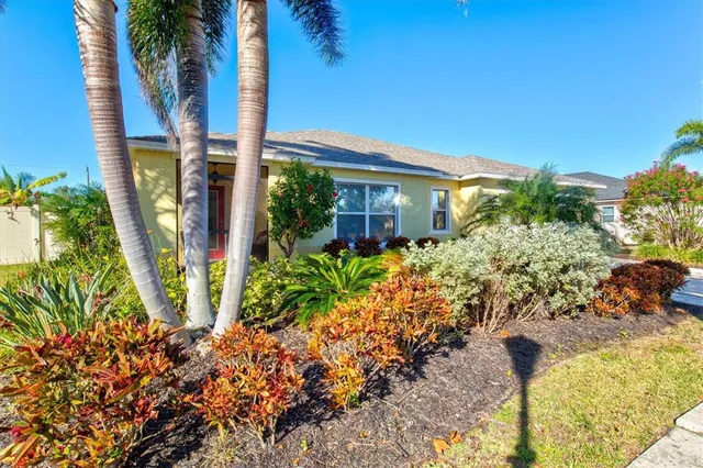 a view of a garden with plants