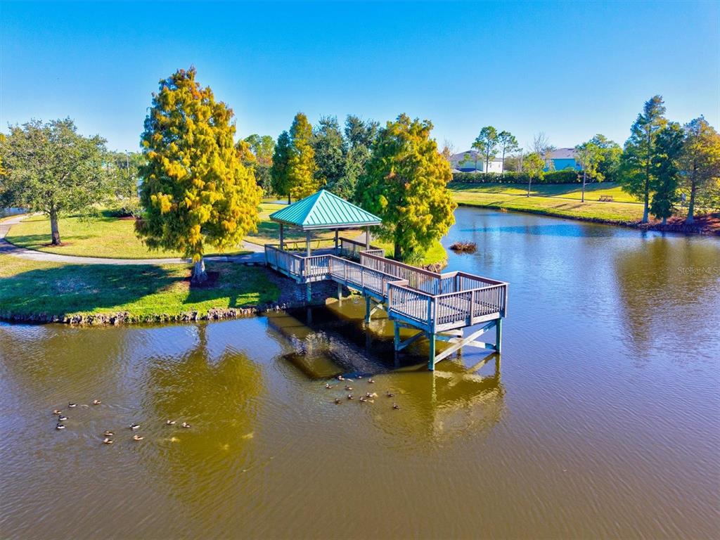 5213 Moon Shell Drive Apollo Beach, FL 33572 - Photo 56 of 69 a swimming pool view with a lake view