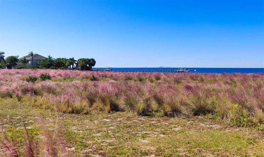 5213 Moon Shell Drive Apollo Beach, FL 33572 - Photo 59 of 69