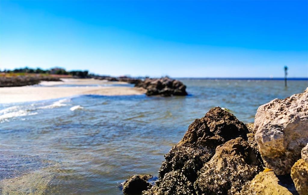 5213 Moon Shell Drive Apollo Beach, FL 33572 - Photo 60 of 69 a view of a lake with a big yard