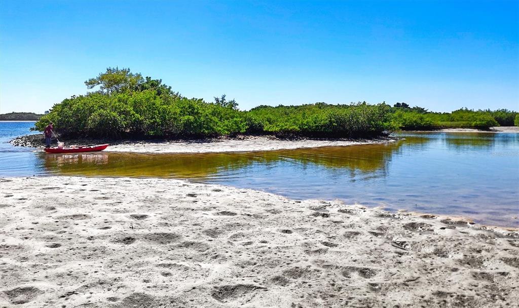 5213 Moon Shell Drive Apollo Beach, FL 33572 - Photo 62 of 69 a view of a swimming pool and lake view