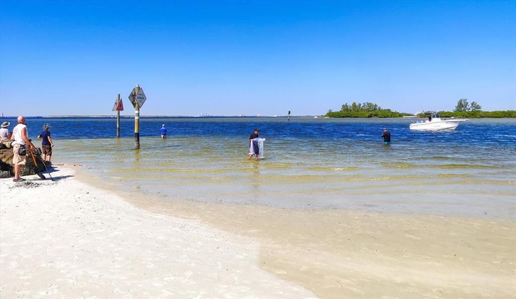 5213 Moon Shell Drive Apollo Beach, FL 33572 - Photo 64 of 69