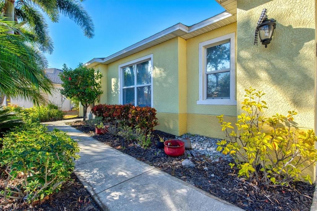 5213 Moon Shell Drive Apollo Beach, FL 33572 - Photo 8 of 69 a view of a backyard with plants and flowers