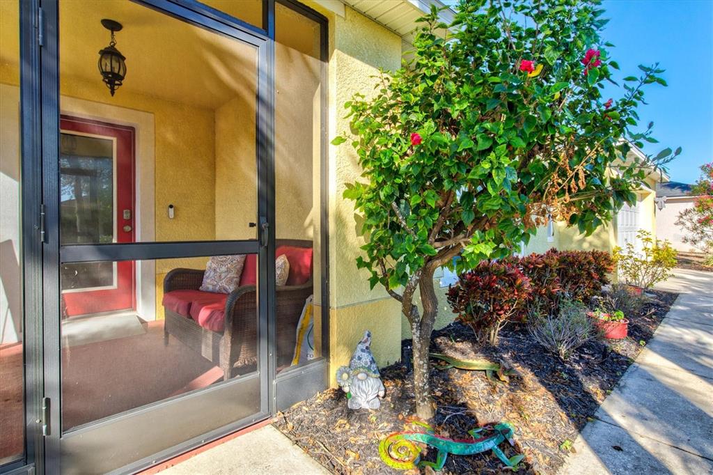 5213 Moon Shell Drive Apollo Beach, FL 33572 - Photo 9 of 69