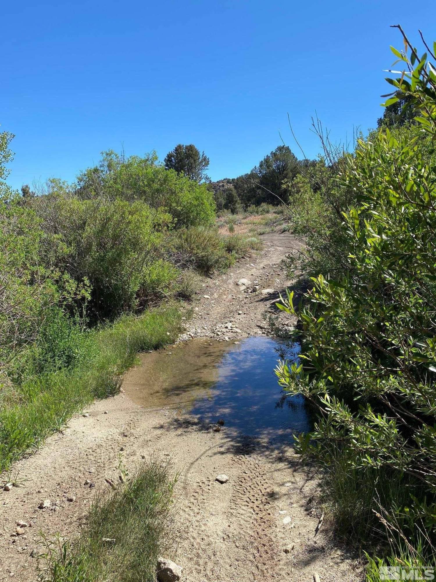 Tbd Eldorado Canyon Road Carson City, NV 89701 - Photo 13 of 20 a view of a yard with a tree