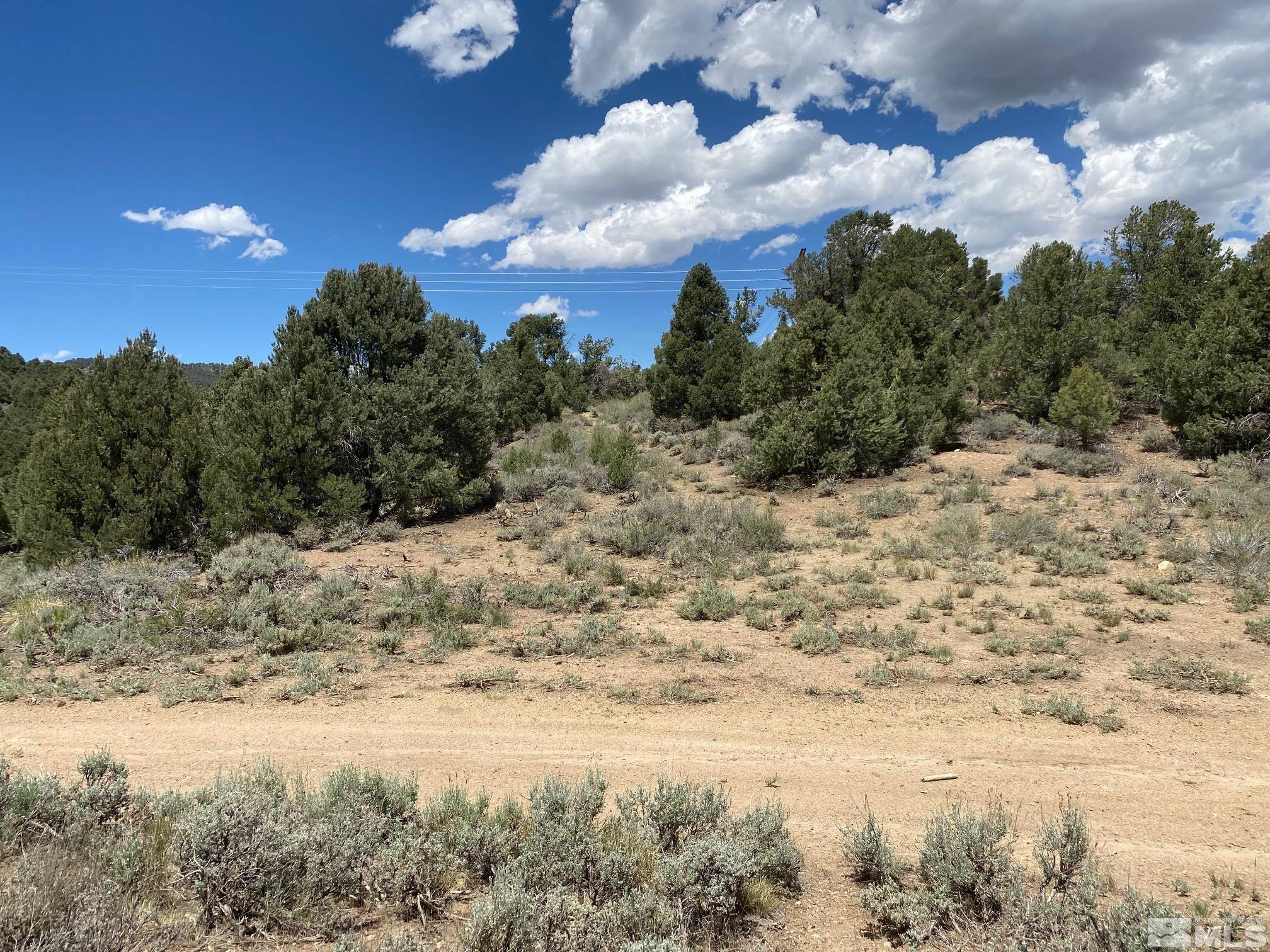 Tbd Eldorado Canyon Road Carson City, NV 89701 - Photo 14 of 20 a view of a dry yard with lots of green space
