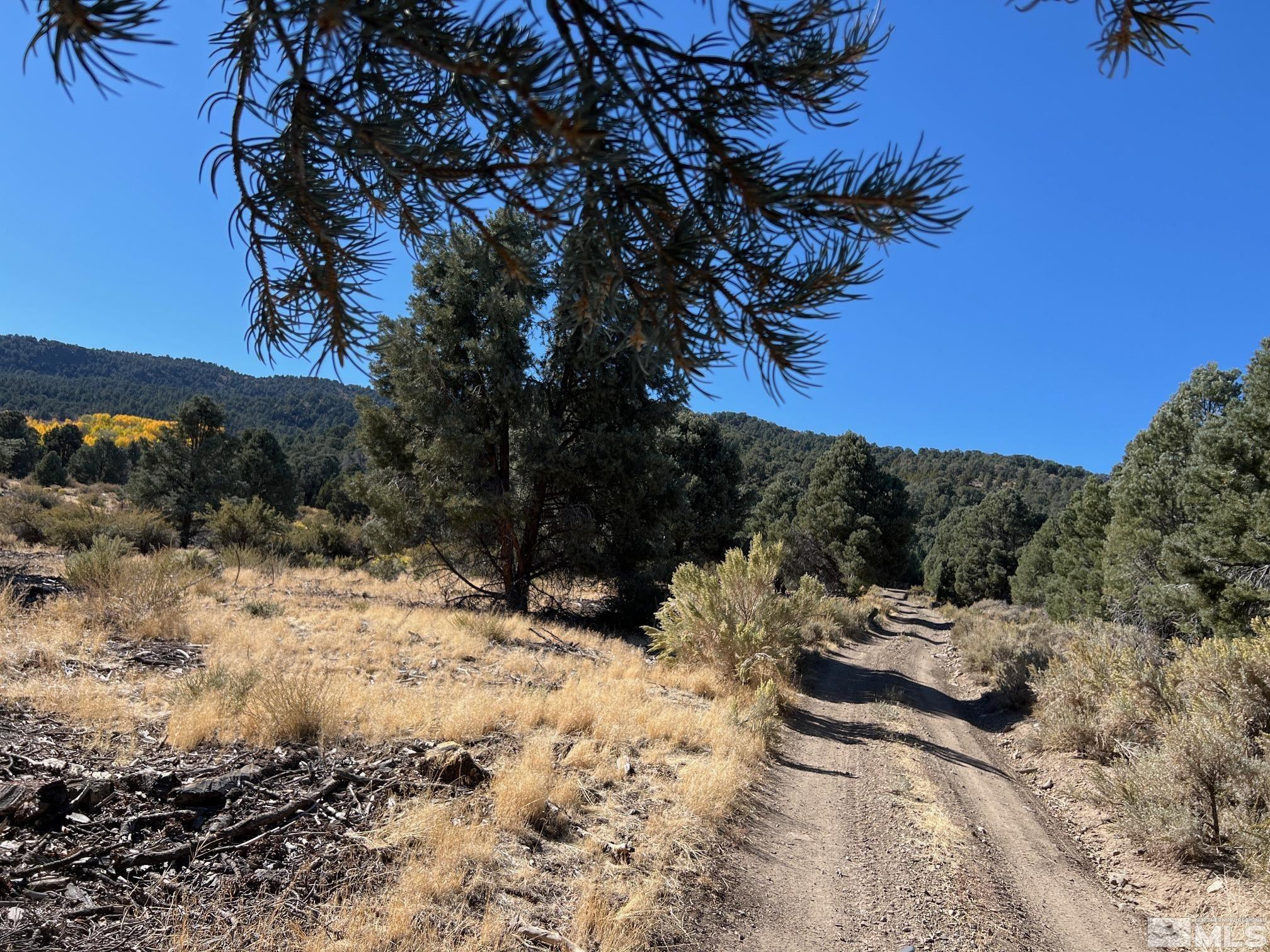 Tbd Eldorado Canyon Road Carson City, NV 89701 - Photo 20 of 20 a view of a backyard of snow with a yard