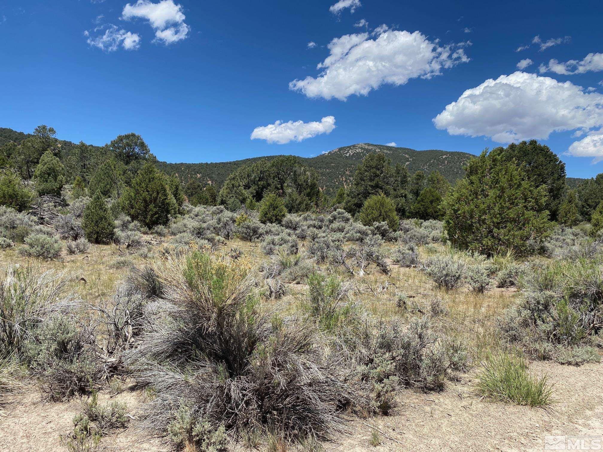 Tbd Eldorado Canyon Road Carson City, NV 89701 - Photo 2 of 20 a view of a yard with an outdoor space