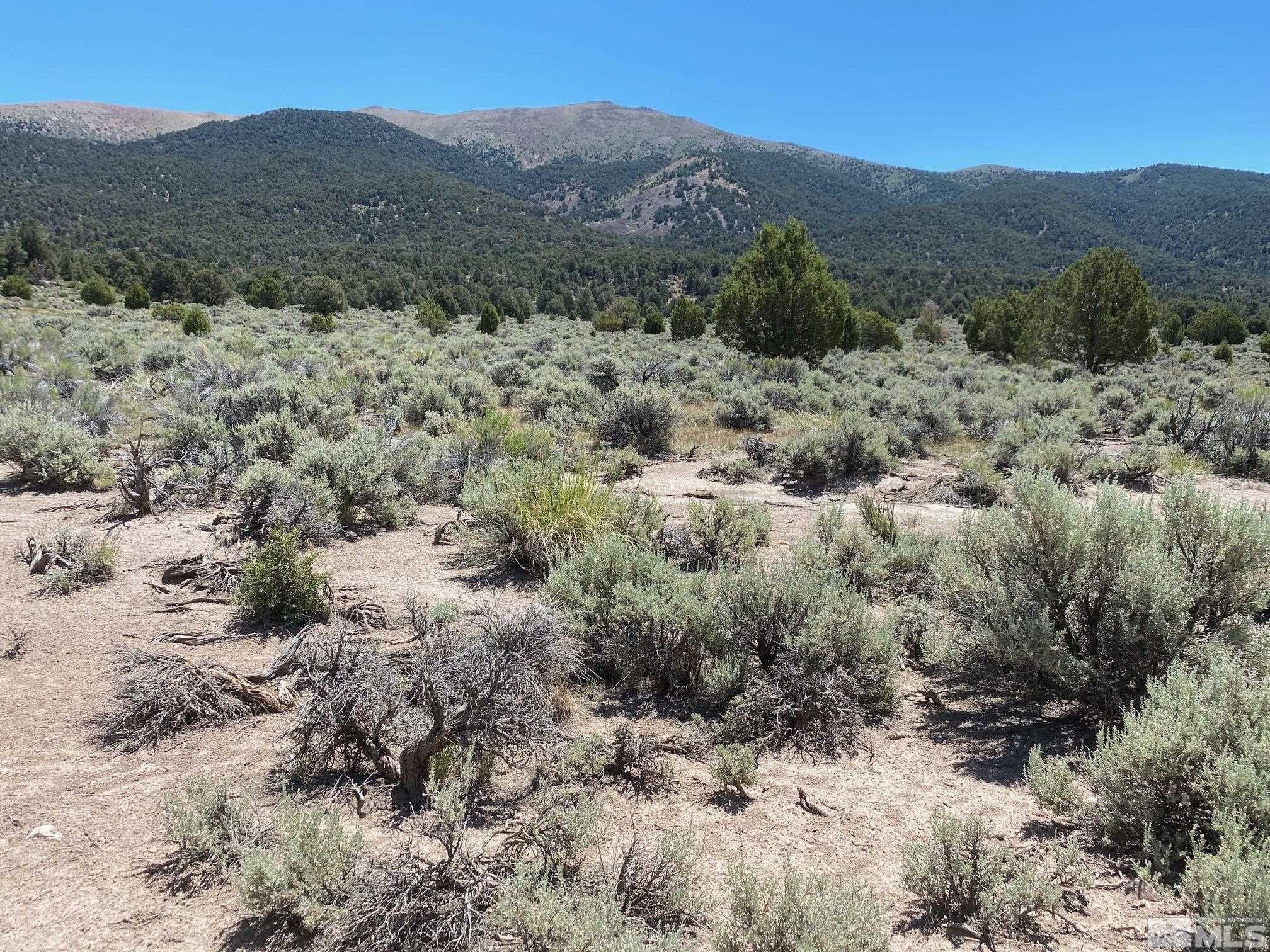 Tbd Eldorado Canyon Road Carson City, NV 89701 - Photo 3 of 20 a view of a dry top field