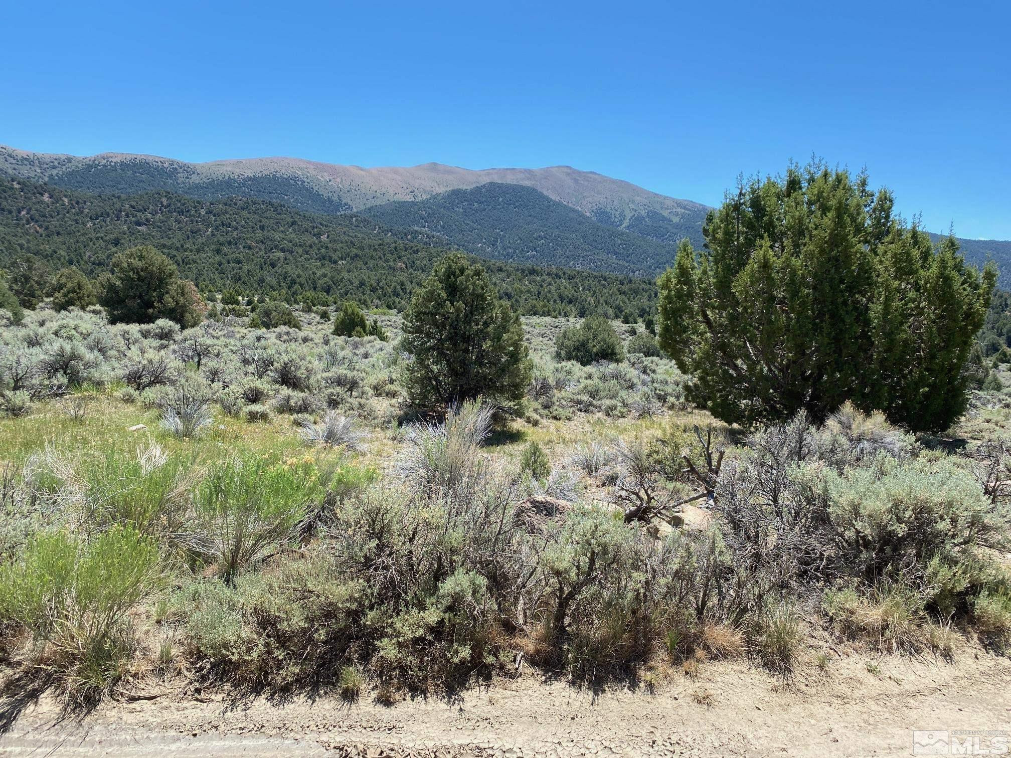 Tbd Eldorado Canyon Road Carson City, NV 89701 - Photo 5 of 20 a view of a yard with a mountain