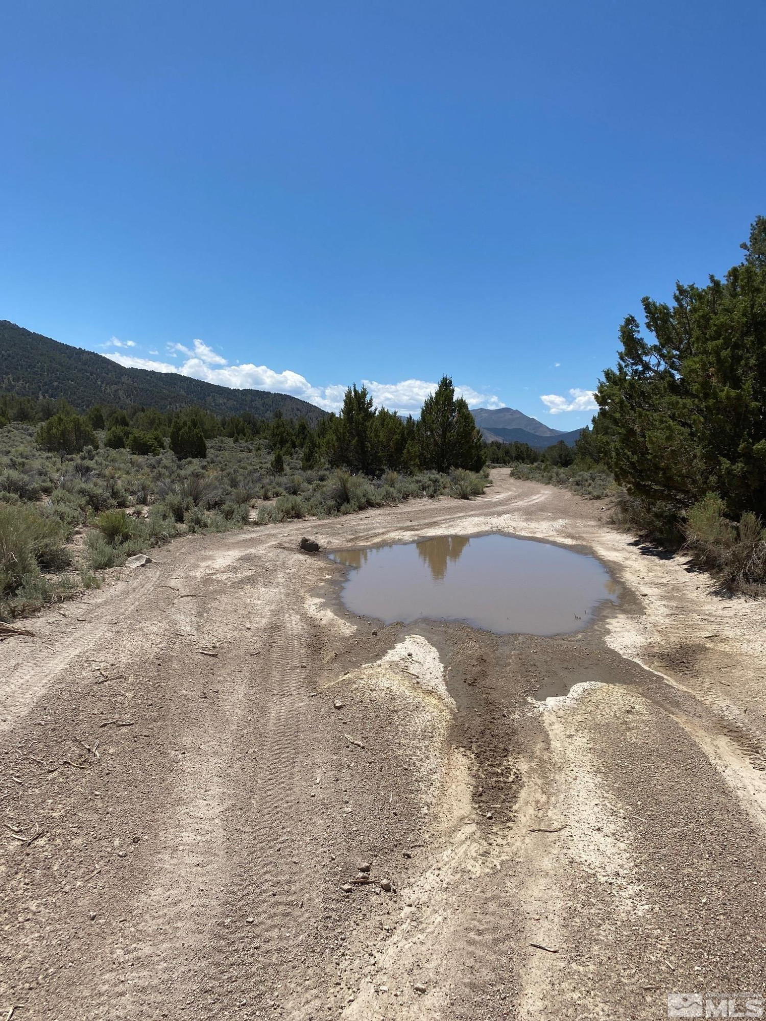 Tbd Eldorado Canyon Road Carson City, NV 89701 - Photo 6 of 20 a view of a field with an ocean view