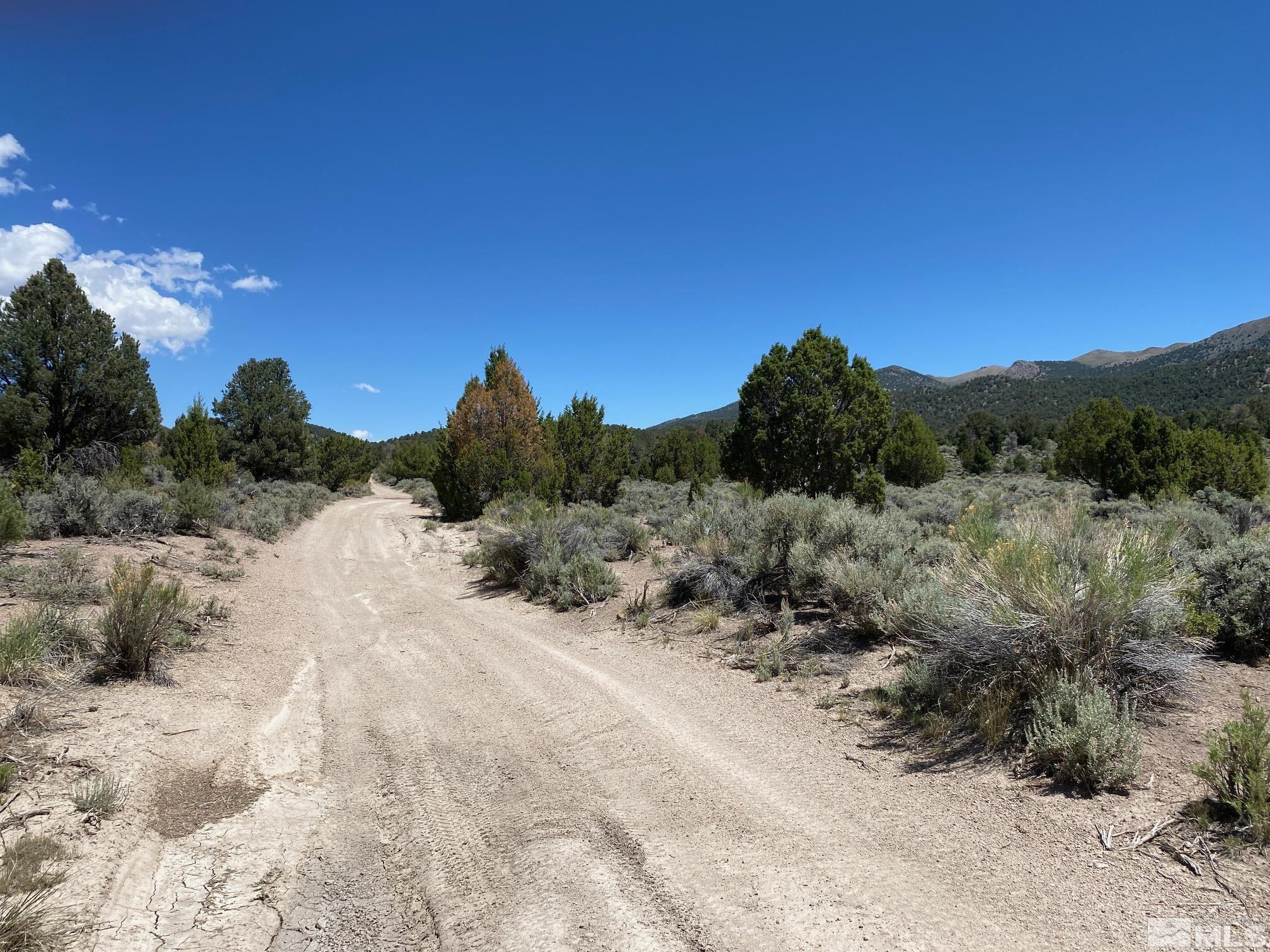 Tbd Eldorado Canyon Road Carson City, NV 89701 - Photo 8 of 20 a view of a dry yard with trees