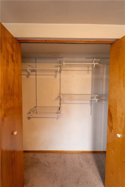 199 Spruce Street Mount Pleasant, PA 15666 - Photo 14 of 23 a close view of a closet