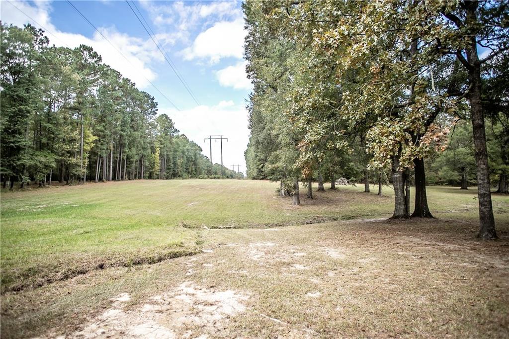 225 Libuse Cutoff Road Pineville, LA 71360 - Photo 9 of 50 Gallery Image 9