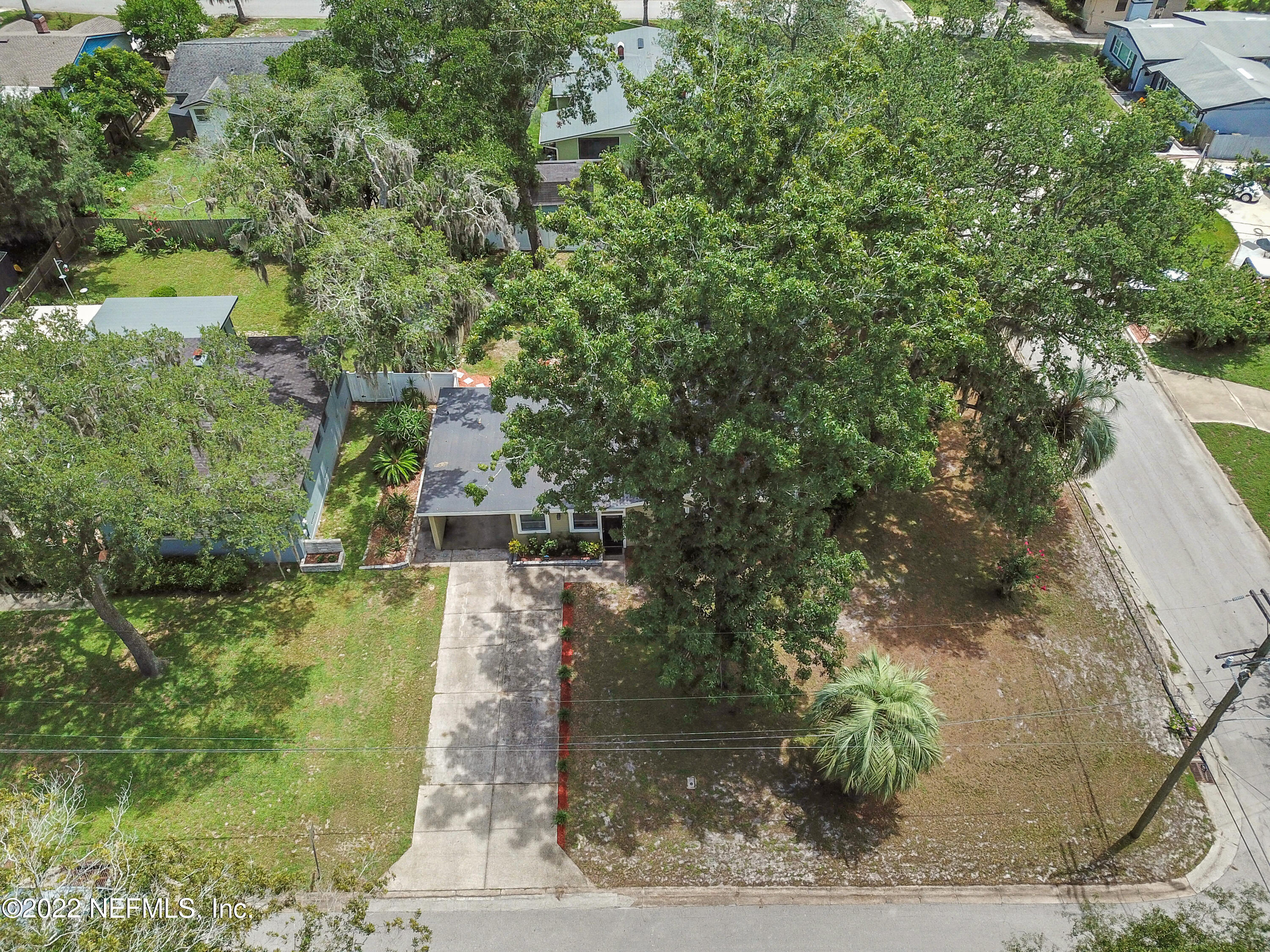 6435 Temple Road Jacksonville, FL 32217 - Photo 34 of 38 a view of a yard with plants