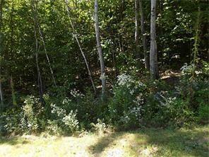 81 Barrows Road Sumner, ME 04292 - Photo 6 of 9 Photo