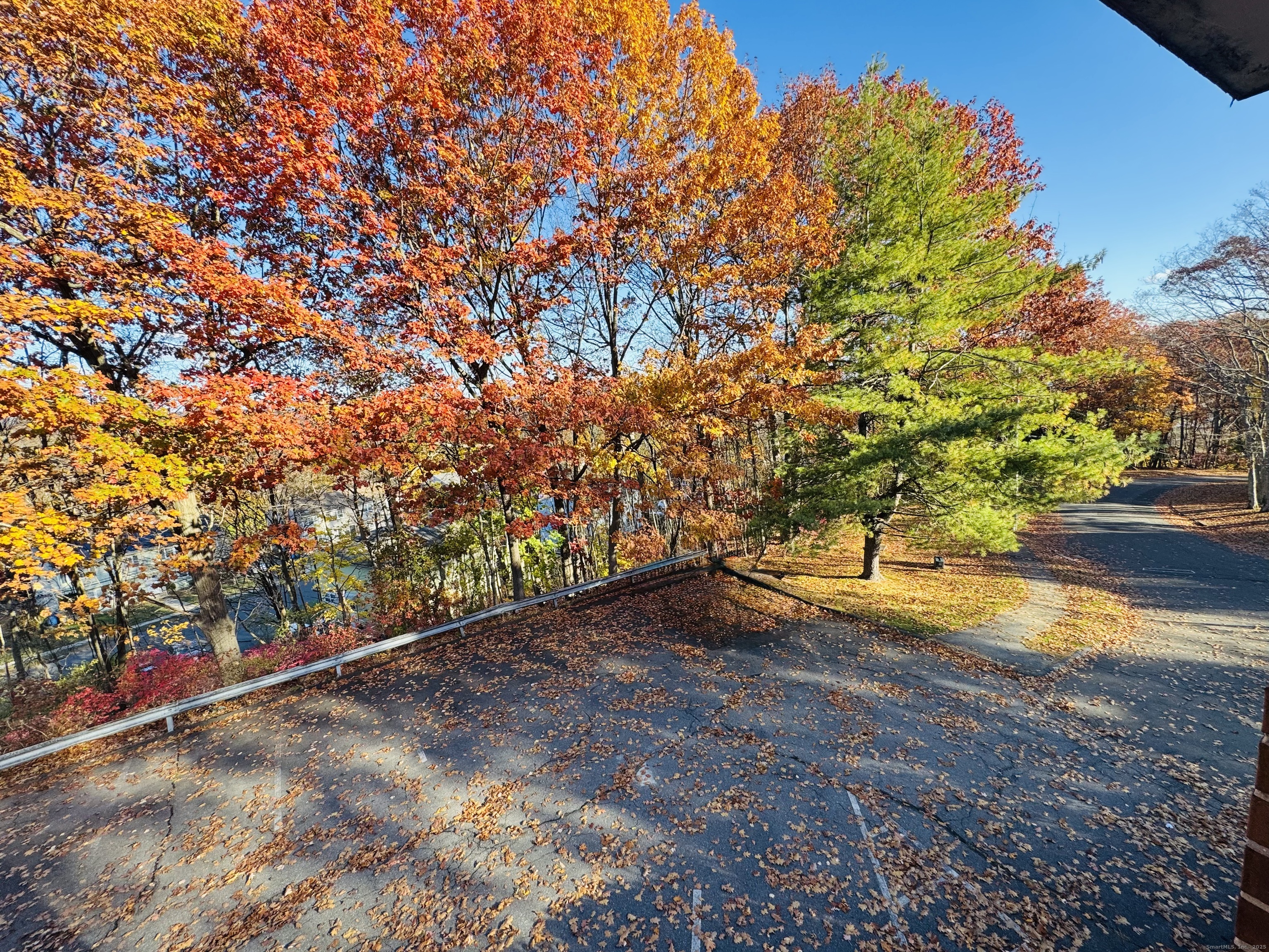 304 Pine Rock Avenue, Unit C15 Hamden, CT 06514 - Photo 11 of 14 a view of a yard with an tree