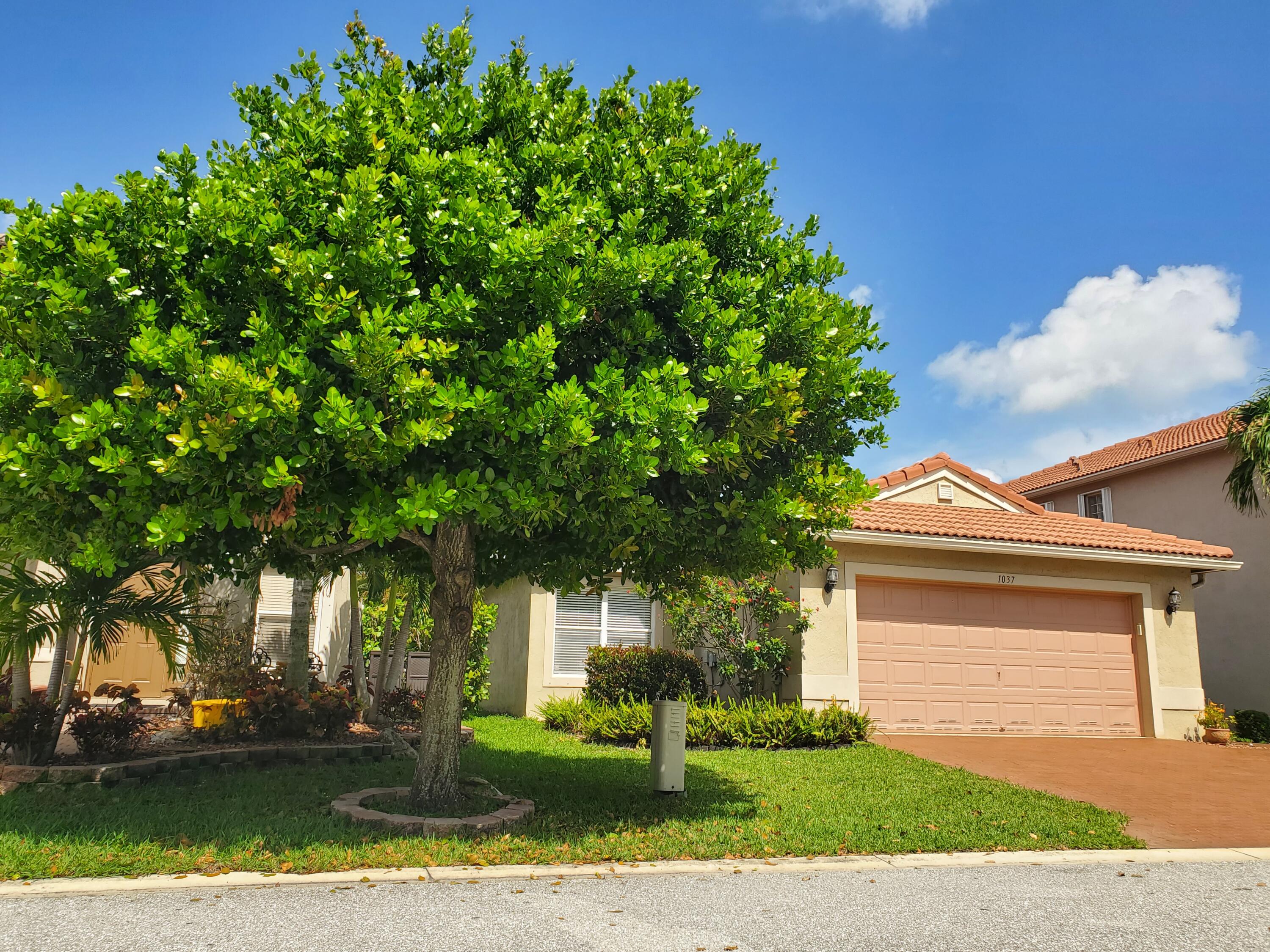1037 Big Torch Street Riviera Beach, FL 33407 - Photo 2 of 38 Beautiful shade tree in front yard